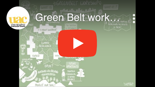 Time lapse of live illustrations for Greenbelt 2.0