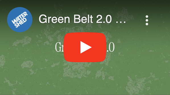 Full explainer and animated visions